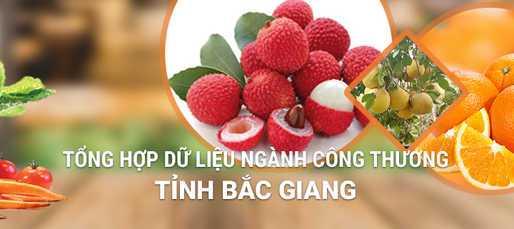 HiNET triển khai thành công dự án CSDL công thương tỉnh Bắc Giang