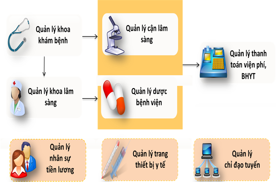 Statistical Information System, Health Report