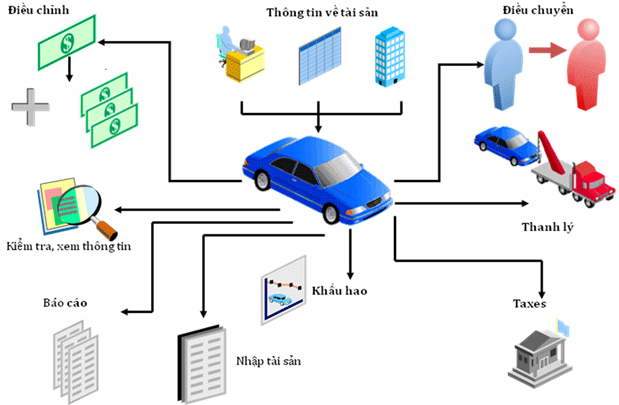 Asset Management Software for Business