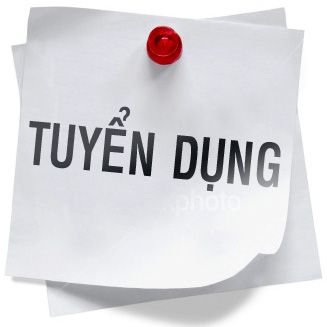 Chuyên viên Tester 