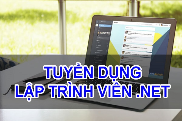 Lập trình viên .NET 